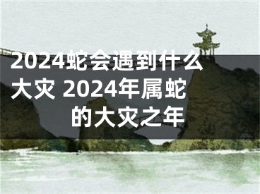2024蛇会遇到什么大灾 2024年属蛇的大灾之年