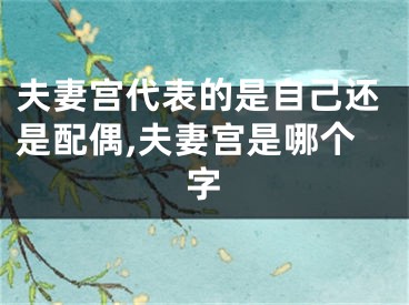 夫妻宫代表的是自己还是配偶,夫妻宫是哪个字