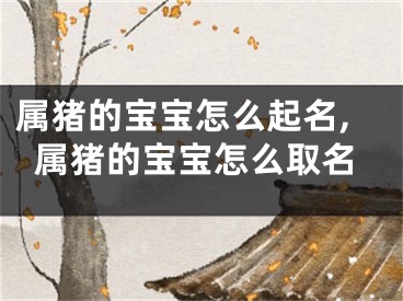 属猪的宝宝怎么起名,属猪的宝宝怎么取名