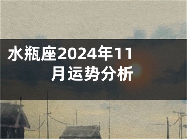 水瓶座2024年11月运势分析
