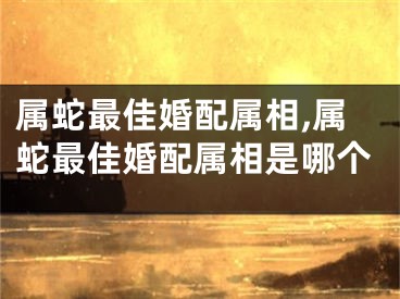 属蛇最佳婚配属相,属蛇最佳婚配属相是哪个