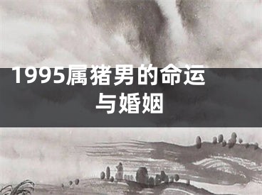 1995属猪男的命运与婚姻