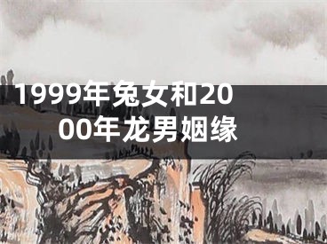 1999年兔女和2000年龙男姻缘