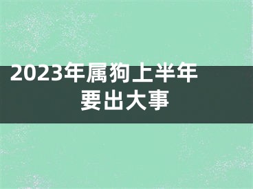 2023年属狗上半年要出大事