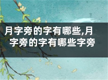 月字旁的字有哪些,月字旁的字有哪些字旁