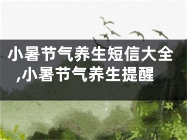 小暑节气养生短信大全,小暑节气养生提醒