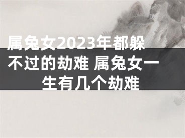 属兔女2023年都躲不过的劫难 属兔女一生有几个劫难