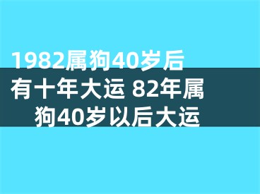 1982属狗40岁后有十年大运 82年属狗40岁以后大运