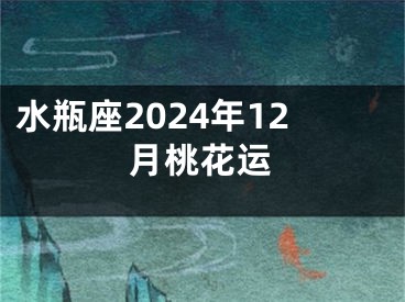 水瓶座2024年12月桃花运