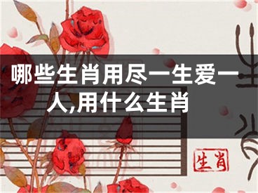 哪些生肖用尽一生爱一人,用什么生肖