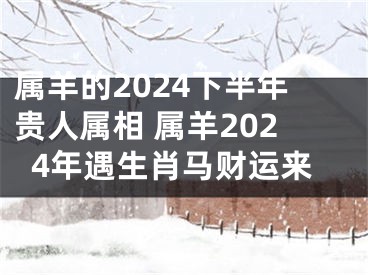 属羊的2024下半年贵人属相 属羊2024年遇生肖马财运来