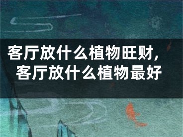 客厅放什么植物旺财,客厅放什么植物最好