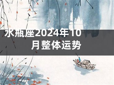 水瓶座2024年10月整体运势