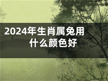 2024年生肖属兔用什么颜色好