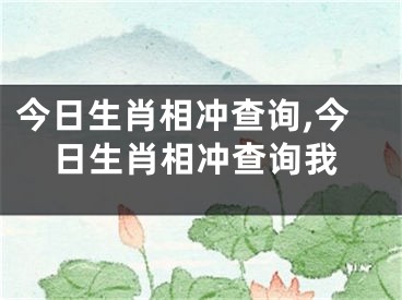 今日生肖相冲查询,今日生肖相冲查询我