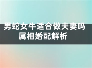 男蛇女牛适合做夫妻吗 属相婚配解析