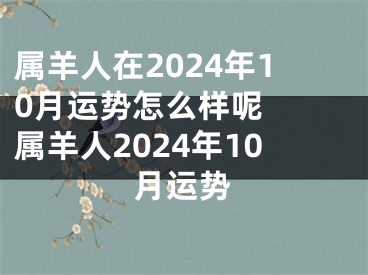 属羊人在2024年10月运势怎么样呢  属羊人2024年10月运势