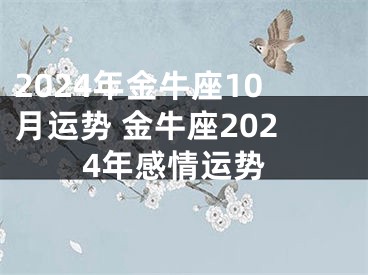 2024年金牛座10月运势 金牛座2024年感情运势