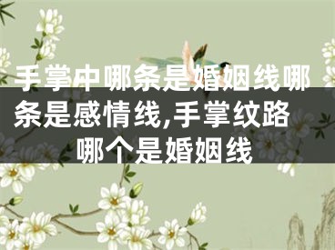 手掌中哪条是婚姻线哪条是感情线,手掌纹路哪个是婚姻线