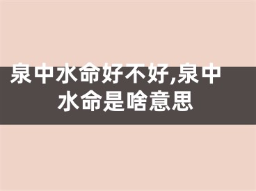泉中水命好不好,泉中水命是啥意思
