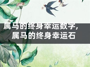 属马的终身幸运数字,属马的终身幸运石