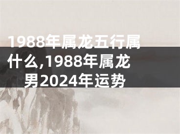 1988年属龙五行属什么,1988年属龙男2024年运势