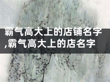 霸气高大上的店铺名字,霸气高大上的店名字