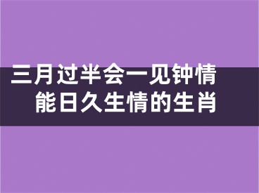 三月过半会一见钟情 能日久生情的生肖