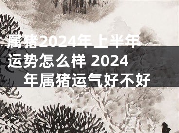 属猪2024年上半年运势怎么样 2024年属猪运气好不好