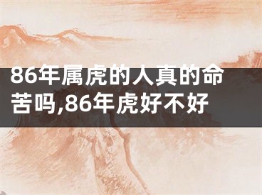86年属虎的人真的命苦吗,86年虎好不好