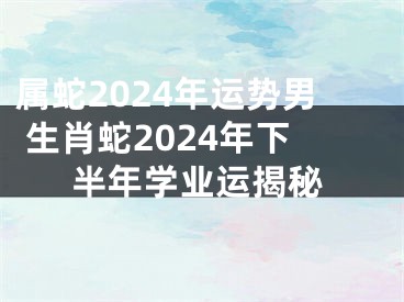属蛇2024年运势男 生肖蛇2024年下半年学业运揭秘