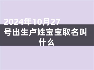 2024年10月27号出生卢姓宝宝取名叫什么