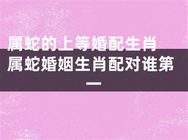 属蛇的上等婚配生肖 属蛇婚姻生肖配对谁第一