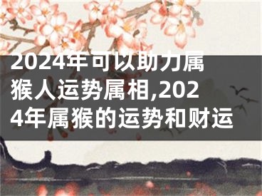 2024年可以助力属猴人运势属相,2024年属猴的运势和财运