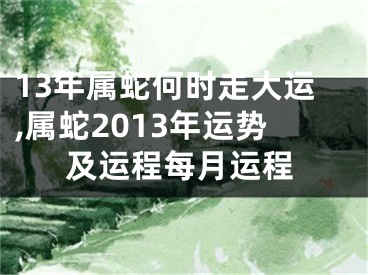 13年属蛇何时走大运,属蛇2013年运势及运程每月运程