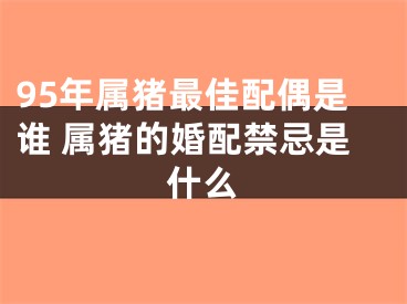 95年属猪最佳配偶是谁 属猪的婚配禁忌是什么