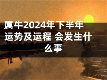 属牛2024年下半年运势及运程 会发生什么事