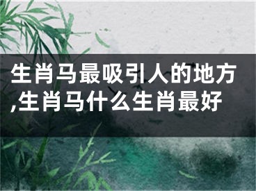 生肖马最吸引人的地方,生肖马什么生肖最好