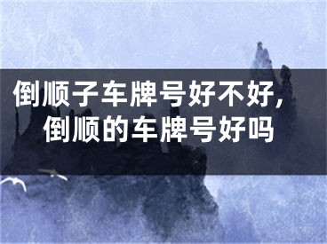 倒顺子车牌号好不好,倒顺的车牌号好吗