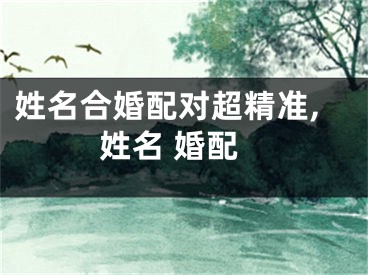 姓名合婚配对超精准,姓名 婚配