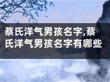 蔡氏洋气男孩名字,蔡氏洋气男孩名字有哪些