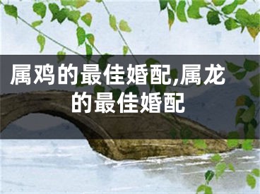 属鸡的最佳婚配,属龙的最佳婚配