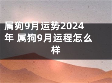 属狗9月运势2024年 属狗9月运程怎么样