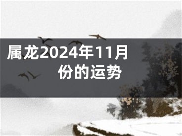 属龙2024年11月份的运势