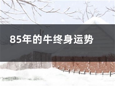 85年的牛终身运势