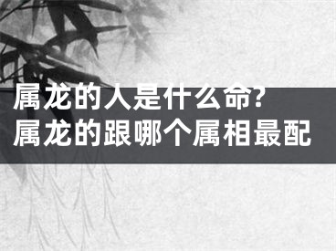 属龙的人是什么命? 属龙的跟哪个属相最配