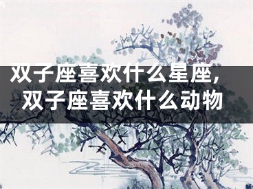 双子座喜欢什么星座,双子座喜欢什么动物