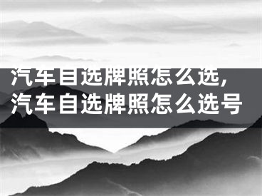 汽车自选牌照怎么选,汽车自选牌照怎么选号