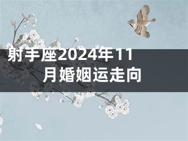 射手座2024年11月婚姻运走向