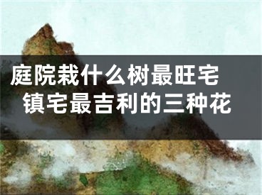 庭院栽什么树最旺宅 镇宅最吉利的三种花